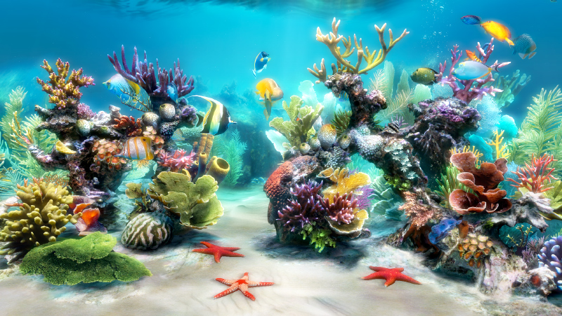 Sim Aquarium FREE! 3.7.55 full