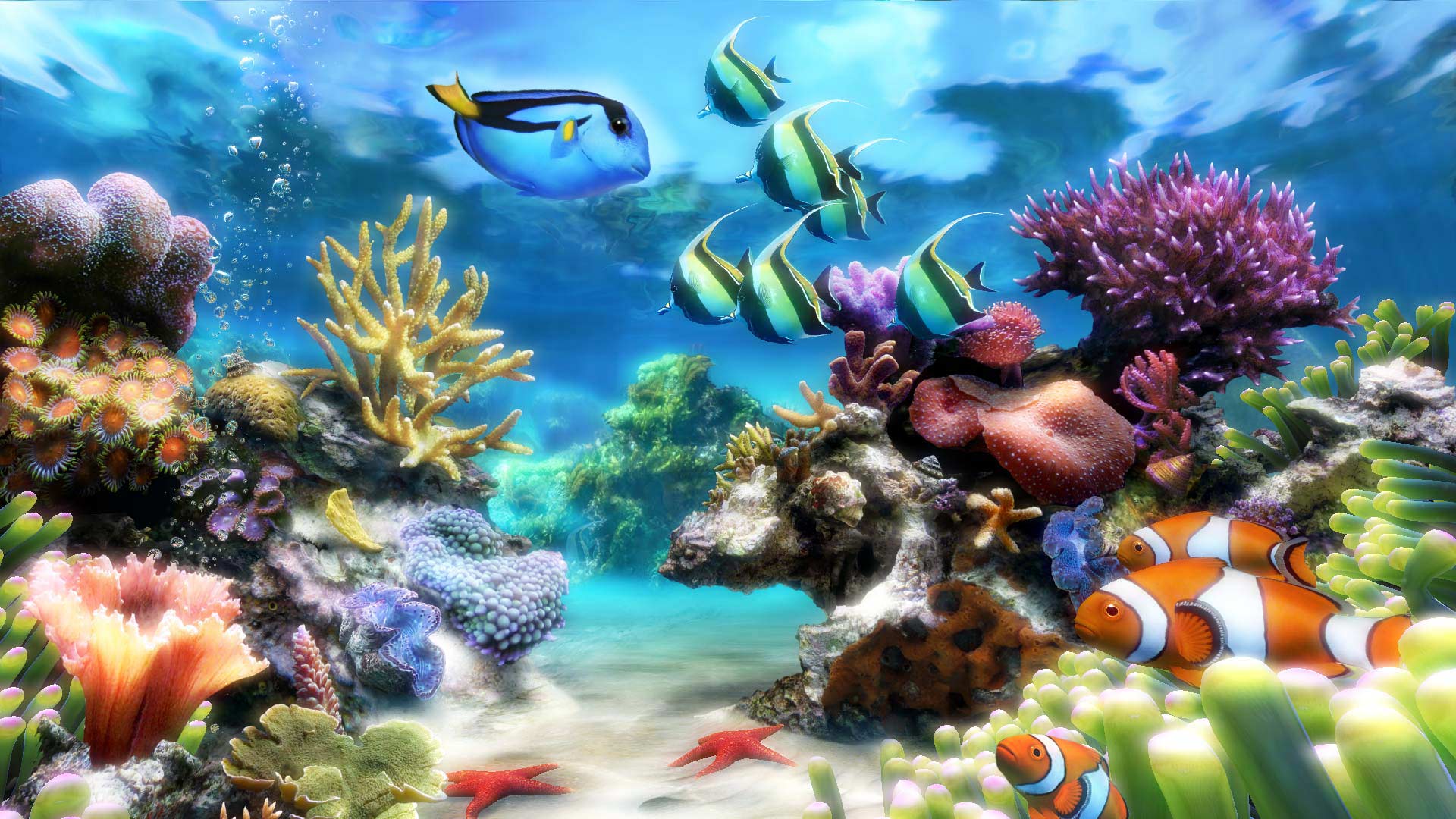marine aquarium 3d screensaver